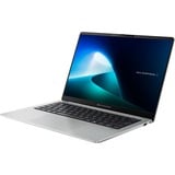 ASUS Expert Book P5 (V5405CSA-NZ0371W), Notebook silber, Intel® Core™ Ultra 5 226V, Intel® Arc™ Graphics 130V, 16 GB LPDDR5X, 512 GB SSD, Windows 11 Home 64-Bit