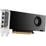 PNY Quadro RTX 2000 ADA 16GB SB, Grafikkarte 