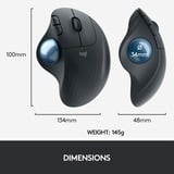 Logitech ERGO M575 Wireless Trackball Maus graphit, ergonomisches Design, für Windows, PC & Mac mit Bluetooth- & USB-Funktion