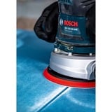 Bosch Expert C470 Schleifblatt, Ø 125mm, K120 Multilochung 5 Stück, für Exzenterschleifer