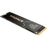 Team Group T-FORCE GE Pro 2 TB, SSD schwarz/gold, PCIe 5.0 x4 | M.2 2280 | Graphen-Kühlkörper