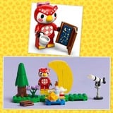 LEGO 77053 Animal Crossing Sternbeobachtung mit Eufemia, Konstruktionsspielzeug 