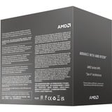 AMD Ryzen™ 5 8400F, Prozessor Boxed-Version