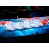 CHERRY MX 3.1, Gaming-Tastatur weiß/silber, DE-Layout, Cherry MX2A Brown