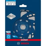 Bosch Diamant-Topfscheibe Expert for Concrete, Ø 150mm, Schleifscheibe Bohrung 22,23mm, für Beton- und Winkelschleifer