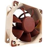 Noctua NF-A6x25 FLX, Gehäuselüfter braun/weiß, 60 mm