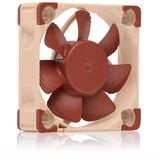 Noctua NF-A4x10 24V PWM, Gehäuselüfter braun/beige, 40 mm