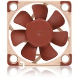 Noctua NF-A4x10 24V PWM, Gehäuselüfter braun/beige, 40 mm