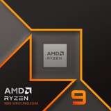 AMD Ryzen™ 9 9900X, Prozessor Boxed-Version