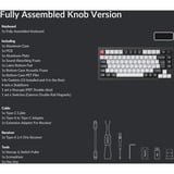 Keychron Q1 HE, Gaming-Tastatur schwarz/weiß, DE-Layout, Gateron Double-Rail Magnetic Nebula, Hot-Swap, Aluminiumrahmen, RGB