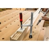 BESSEY Spannelement TWV28-30-17-2K, Zwinge silber/rot, stufenlos verstellbare Ausladung