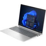 HP EliteBook 665 G11 (9C0H7EA), Notebook silber, Windows 11 Pro 64-Bit, 40.6 cm (16 Zoll), 512 GB SSD