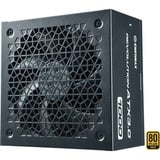 Enermax REVOLUTION ATX 3.0 1000W, PC-Netzteil schwarz, Kabel-Management, 1000 Watt