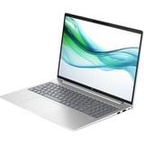 HP ProBook 460 G11 (9C0C5EA), Notebook silber, Windows 11 Pro 64-Bit, 40.6 cm (16 Zoll), 512 GB SSD