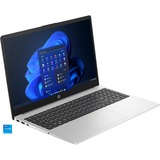 HP 250 G10 (9V1L5AT), Notebook silber, Windows 11 Pro 64-Bit, 39.6 cm (15.6 Zoll), 512 GB SSD