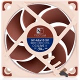 Noctua NF-A6x15 5V, Gehäuselüfter 60 mm