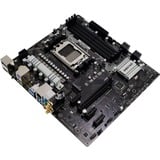 Biostar A620MP-E PRO, Mainboard schwarz