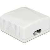 DeLOCK RJ-45 Anschlussdose 2 Port Cat.6a LSA weiß