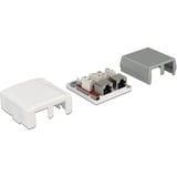 DeLOCK RJ-45 Anschlussdose 2 Port Cat.6a LSA weiß