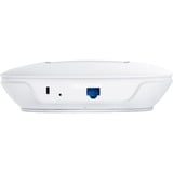 TP-Link Omada EAP110, Access Point 