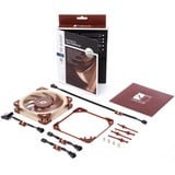 Noctua NF-A12x25 FLX, Gehäuselüfter 120 mm