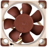 Noctua NF-A4x10 5V, Gehäuselüfter 40 mm