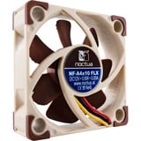 Noctua NF-A4x10 FLX, Gehäuselüfter braun/weiß, 40 mm